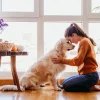 National Pet Day 11 April