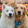 National Therapy Animal Day (30 April)