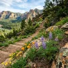 4 Apr + Discover National Parks Fortnight