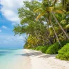 30 August ' National Beach Day