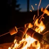30 August ~ National Toasted Marshmallow Day