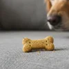 National Dog Biscuit Day = February 23rd