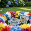 National Pet Memorial Day - Sep 2nd Sunday