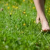 National Go Barefoot Day June 1st