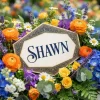 10 June = National Shawn Day