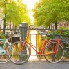 World Bicycle Day : June 3