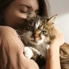 National Hug Your Cat Day : June 4th
