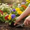 National Plant a Flower Day % 12th March