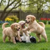 March 23 * National Puppy Day