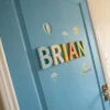 6th Mar ♥ National Brian Day