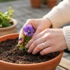 Plant Something Day @ May 19th