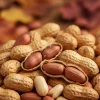 National Peanut Day _ 13th Sep