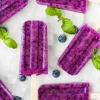 2 September - National Blueberry Popsicle Day
