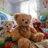 National Teddy Bear Day ` September 9th